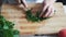 Close up woman hands with knife cutting parsley on wooden board. Concept greens