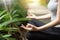 Close up woman hands practicing yoga and meditation.