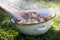 Close-up of woman hands washing potatoes in garden