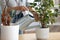 Close up of woman hold pot watering plants