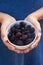 Close Up Of Woman Holding Bowl Of Blackberries