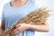 Close Up Of Woman Holding Bundle Of Wheat