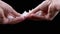 Close up, Woman Holding Melting Wet Snow in her Hands on a Black Background