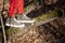 Close-up of woman legs slowly crossing pit by walking on log alone in forest far away from city closer to nature with