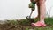 Close-up of a woman pulling up weeds