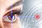 Close-up of woman\'s eye. macro beautiful female eye.New futuristic and technology concept