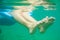 Close up of woman`s feet underwater flowing and floating while swimming in the sea with a flotation device known as pool noodle