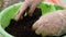 Close-up of a woman's gloved hands shredding and shoveling soil in a basin. Preparing the soil for transplanting