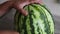 Close up of woman`s hand cutting watermelon in the kitchen