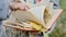 Close-up of a woman\'s hand leafing through the pages of a book. Autumn leaves are nested between the pages of the book