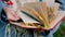 Close-up of a woman's hand leafing through the pages of a book. Autumn leaves are nested between the pages of the book