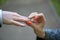 Close-up Of Woman`s Hand Putting Golden Ring On Man`s Finger