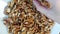 Close-up woman`s hand takes walnut kernels from a plate. Healthy food concept, diet