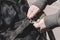 Close-up of a woman`s hands fastening an unbreakable carabiner t