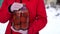 Close up of woman\'s hands in gloves holding canned tomatoes in garden in wintertime. Unrecognizable female holding