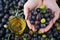 Close up of a woman`s hands holding a handful of olives