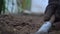 Close-up of a woman's hands loosening humus mixed with sand with a small rake in her own garden in the yard of her