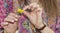 Close-up of woman`s hands plucking a yellow daisy