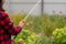 Close up of woman's hands watering vegetable garden from hose. Portrait of housewife courting of garden in summertime.