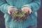 Close up of woman showing grass holding in hands. Midsection of woman in blue sweater with fresh green grass on palm of her hands