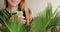 Close up of woman taking care of sago palm home plant by spraying water.