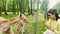 Close up woman tourist visitor feed white domestic baby deers behind fence isolated in Lithuania countryside private farm