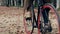 Close-up of woman with a vintage bike enjoying time while cycling through the park in autumn.