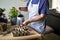 Close up of woman watering the seeds in seedling trays