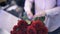 Close up of a woman working in a florist shop tying a bunch of dark red roses