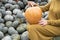 close up of women hands holding orange pumpkin in nature. Halloween or Thanksgiving concept