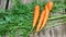 Close-up of womens hands take fresh raw carrots stacked in a row from a wooden table with herbs. Cooking healthy carrots. useful p