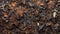 Close-up Wood Chip Pile: Brown And Brown, Patinated And Oxidized