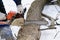 Close-up of woodcutter sawing chainsaw in motion, sawdust fly to sides