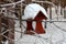 Close-up of a wooden birdhouse bird feeder covered with a large layer of snow on a clear winter day in a forest suspended from a