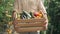 Close-up wooden box with tomato cucumber zucchini and eggplant in male Caucasian hands. Unrecognizable male farmer