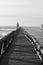 Close up on wooden breakwater on atlantic coast in black and white, capbreton, france