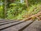 Close up wooden chair the rest point in Khao Luang mountain in Ramkhamhaeng National Park