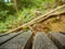 Close up wooden chair the rest point in Khao Luang mountain in Ramkhamhaeng National Park