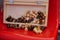 Close up of wooden chess pieces on red stadium bleacher and in checkerboard. Concept of board game and leisure activity.