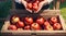 a close up of a wooden crate filled with red apples