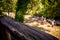 Close up of a wooden handrail in a forest near a river in which a group of persons make trakking in summer