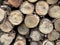 close - up of a wooden logs with a pile of firewood