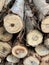 close - up of a wooden logs with a pile of firewood