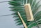 Close up Wooden massage brushes for skin and body care and monstera tropic leaf on gray background. Beauty, spa and bath