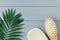 Close up Wooden massage brushes for skin and body care and monstera tropic leaf on gray background. Beauty, spa and bath concept.