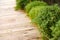 Close up wooden plate bridge with small gree tree beside