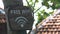 Close up wooden sign inscription free wi fi on tree trunk in summer park. Free wi fi wooden sign on tree in city park