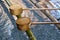 Close up of wooden spoons in a japanese shinto temple