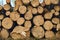 Close up wooden stacked sawn logs for background or abstraction