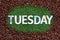 Close up of word tuesday on grass with coffee beans around